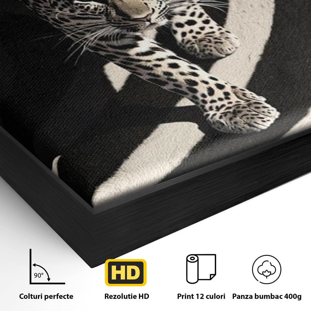 Detaliu al suprafetei: tablou canvas cu leopard pe fundal spiralat alb-negru, in rama de aluminiu negru